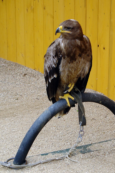 ZOO Jihlava