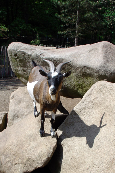 ZOO Jihlava