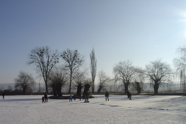Bruslení 