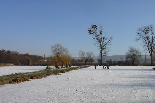 Bruslení 